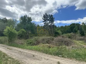 Prodej pozemku, Boršov nad Vltavou, Šumavská, 3633 m2