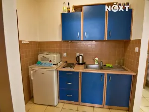 Prodej obchodního prostoru, Soběslav, Wilsonova, 490 m2
