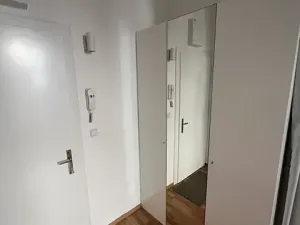 Pronájem bytu 1+kk, Praha - Vinohrady, Budečská, 20 m2
