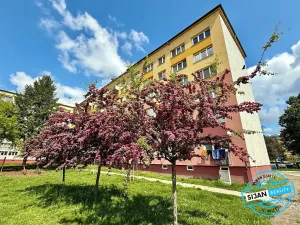 Pronájem bytu 3+1, Opava, Edvarda Beneše, 72 m2