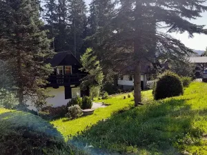 Prodej ubytování, Horní Vltavice, 970 m2