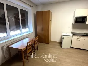 Pronájem bytu 1+kk, Brno, Pražská, 20 m2