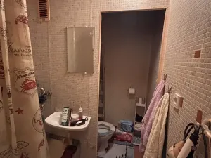 Prodej bytu 1+kk, Liberec, Březová alej, 22 m2