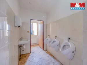 Prodej ubytování, Šindelová - Krásná Lípa, 600 m2