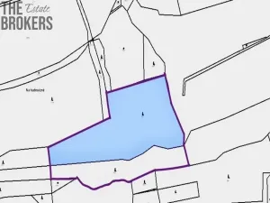 Prodej lesa, Hracholusky, 21 m2
