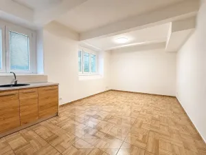 Pronájem bytu 1+kk, Prostějov, Knihařská, 42 m2
