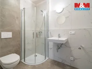 Pronájem bytu 1+kk, České Budějovice - České Budějovice 3, Rudolfovská tř., 23 m2