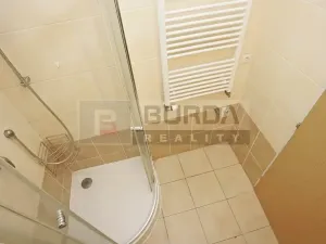 Pronájem bytu 1+kk, Neratovice, 25 m2