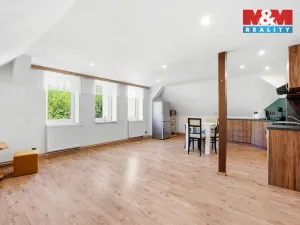 Prodej rodinného domu, Nové Město pod Smrkem - Hajniště, 266 m2