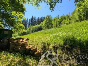 Prodej pozemku, Rejštejn - Klášterský Mlýn, 2979 m2