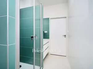 Pronájem rodinného domu, Praha - Braník, V malých domech I, 300 m2