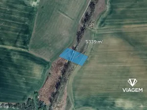 Prodej podílu pole, Litenčice, 2669 m2
