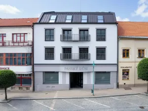 Pronájem bytu 1+kk, Bystřice nad Pernštejnem, Masarykovo náměstí, 41 m2