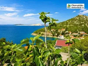 Prodej rodinného domu, Starigrad, Chorvatsko, 63 m2