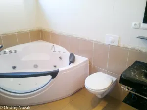 Pronájem rodinného domu, Černošice, V Olšinách, 120 m2