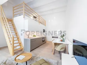 Pronájem bytu 1+kk, Brno, Jánská, 88 m2