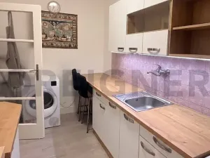 Pronájem bytu 1+1, Brno, Mezírka, 50 m2