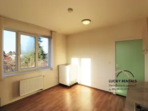Pronájem bytu 1+kk, Průhonice, U Křížku, 20 m2
