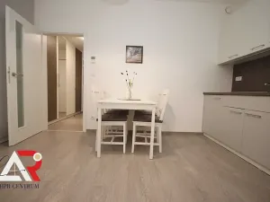 Pronájem bytu 1+1, Brno, Poříčí, 43 m2