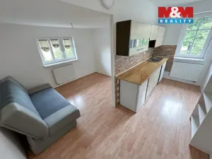 Prodej rodinného domu, Litoměřice - Předměstí, Na Vinici, 200 m2