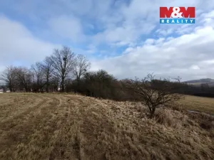 Prodej louky, Budišov nad Budišovkou, 6470 m2