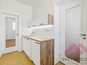 Pronájem bytu 2+1, Praha - Holešovice, U smaltovny, 74 m2