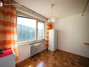 Prodej bytu 2+1, Tišnov, Halasova, 58 m2