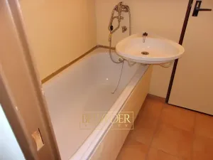 Pronájem bytu 2+1, Teplice, Antala Staška, 62 m2