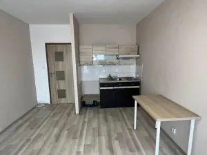 Prodej bytu 1+kk, Ostrava - Zábřeh, Petruškova, 28 m2