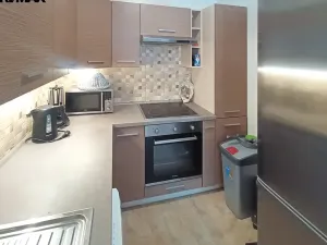 Prodej bytu 1+kk, Slaný, Na Dolíkách, 33 m2