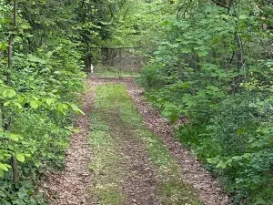 Prodej chaty, Kaliště, Na Valachu, 25 m2