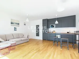 Prodej bytu 1+kk, Praha - Žižkov, U Viktorie, 40 m2