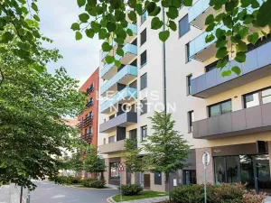 Prodej bytu 1+kk, Praha - Žižkov, U Viktorie, 40 m2