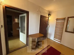 Pronájem bytu 4+kk, Brandýs nad Labem-Stará Boleslav, Na vinici, 84 m2
