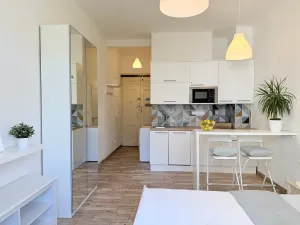 Pronájem bytu 1+kk, Praha - Vršovice, Slovinská, 22 m2