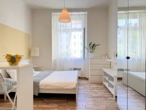 Pronájem bytu 1+kk, Praha - Vršovice, Slovinská, 22 m2