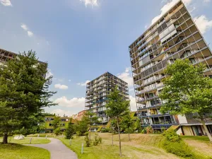 Prodej bytu 2+kk, Praha - Žižkov, Pitterova, 55 m2