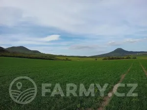 Prodej podílu pole, Lenešice, 410992 m2