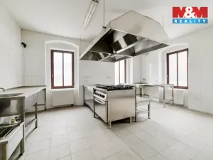 Prodej rodinného domu, Stráž nad Ohří - Boč, 500 m2