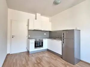 Pronájem bytu 1+1, Praha - Smíchov, Podbělohorská, 43 m2