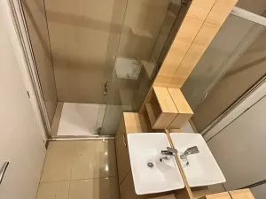 Pronájem bytu 1+1, Praha - Dejvice, Pod kaštany, 37 m2