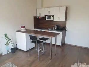 Pronájem bytu 1+kk, Praha - Michle, Hanusova, 30 m2