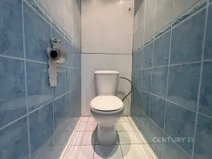 Pronájem bytu 1+1, Bílina, Alšova, 27 m2