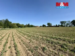 Prodej pozemku pro bydlení, Chýstovice, 8618 m2