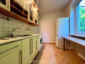 Prodej bytu 2+1, Brno, Podlesí, 53 m2