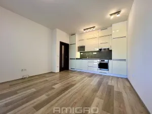 Pronájem bytu 2+kk, Brno, Lidická, 40 m2