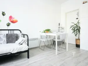 Pronájem bytu 2+kk, Boskovice, Svatopluka Čecha, 34 m2