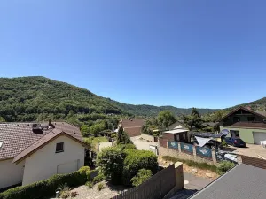 Prodej rodinného domu, Ústí nad Labem, Říční, 250 m2
