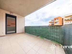 Pronájem bytu 2+kk, Olomouc, Aloise Rašína, 70 m2