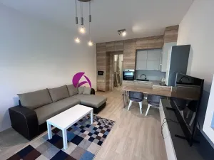 Pronájem bytu 1+kk, Olomouc, Wolkerova, 30 m2
